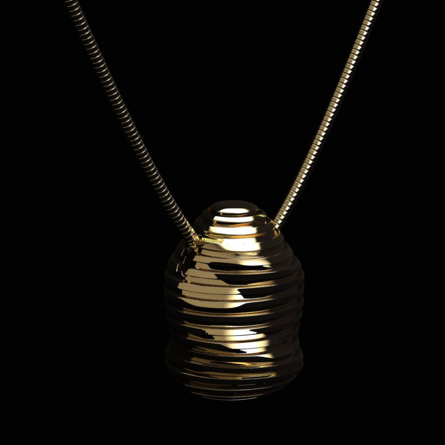 The Future Capsule's Necklace