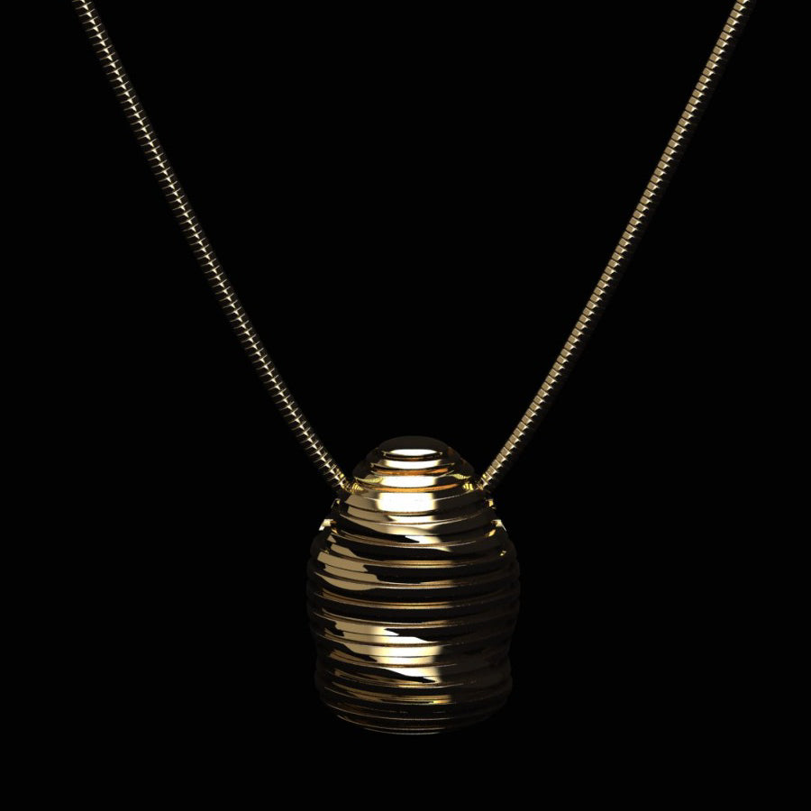 The Future Capsule's Necklace