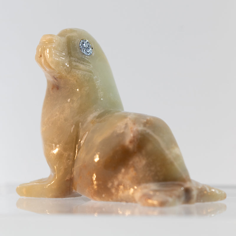 Osmium Eyes - Seal